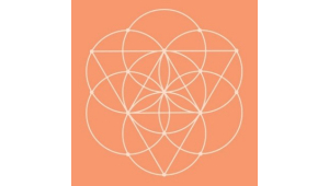 Conscious Items