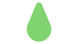 LEVO