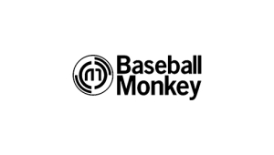 Baseball Monkey