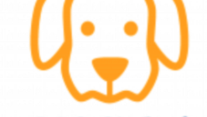 Dog Chews