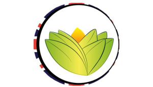 The Ayurveda Experience UK