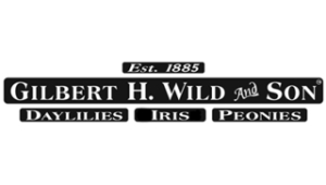 Gilbert H. Wild & Son