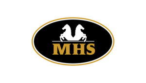 Mini Horse Shop Netherlands