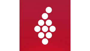 Vivino