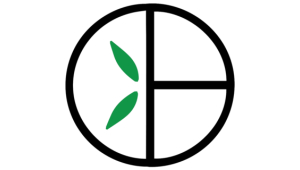 Bamboo Basics
