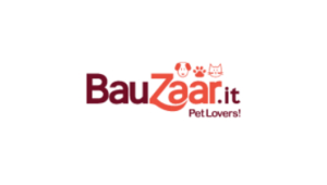 Bauzaar