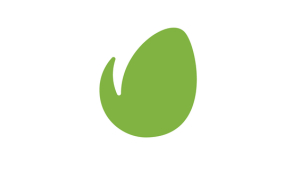 Envato Elements
