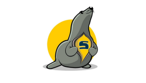 Seal Skin Covers