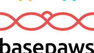 Basepaws