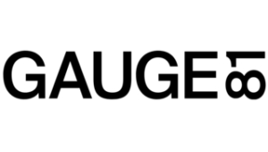 Gauge81