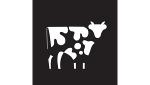 Copper Cow Coffee
