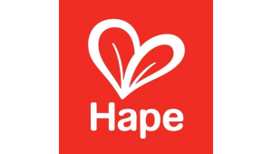 Hape Toys