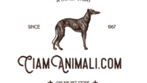 CIAM