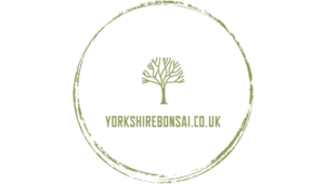Yorkshire Bonsai